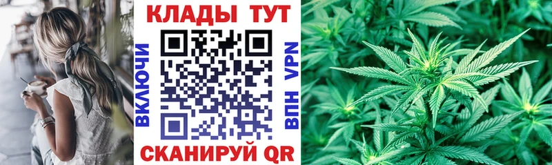 Купить наркоту Томилино Псилоцибиновые грибы  A-PVP  МЕФ  hydra как войти  ГАШ  COCAIN 